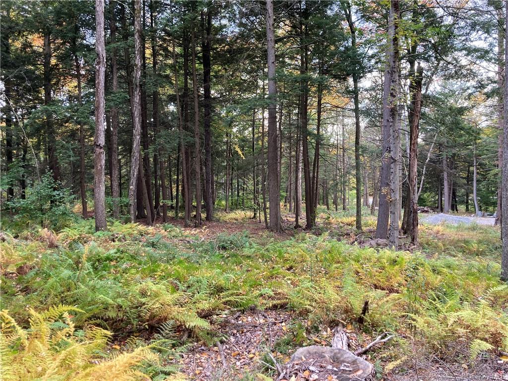 Land Kenoza  Sullivan, NY 12750, MLS-H6271468-8