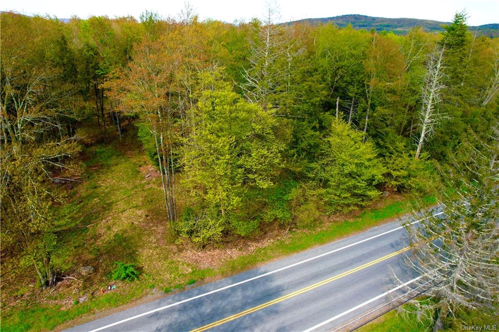Land State Route 42  Sullivan, NY 12765, MLS-H6248472-8