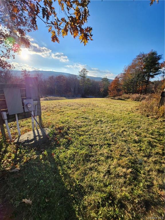 Land Smith  Out Of Area, NY 12469, MLS-H6278519-8
