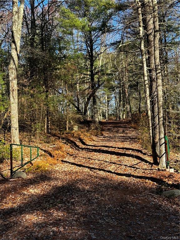 Land Hartwood  Sullivan, NY 12777, MLS-H6239524-8