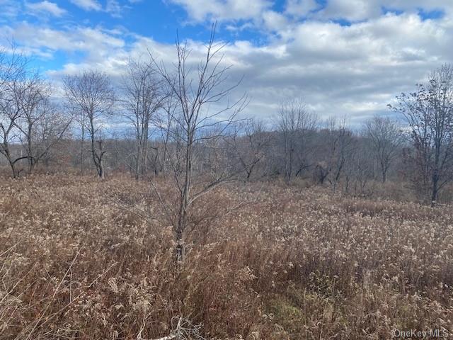 Land Us Highway 9w  Ulster, NY 12528, MLS-H6279528-8