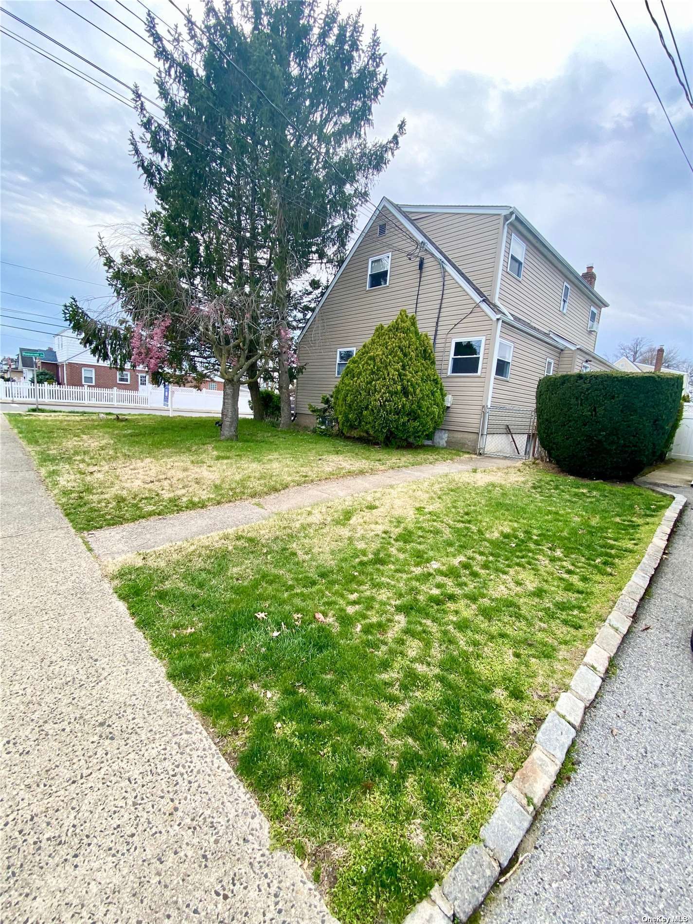 Single Family Roosevelt  Nassau, NY 11010, MLS-3474590-8