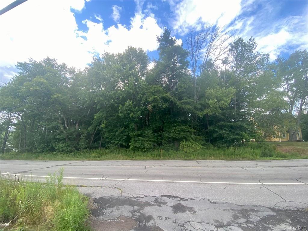 Land Broadway  Sullivan, NY 12701, MLS-H6239591-8