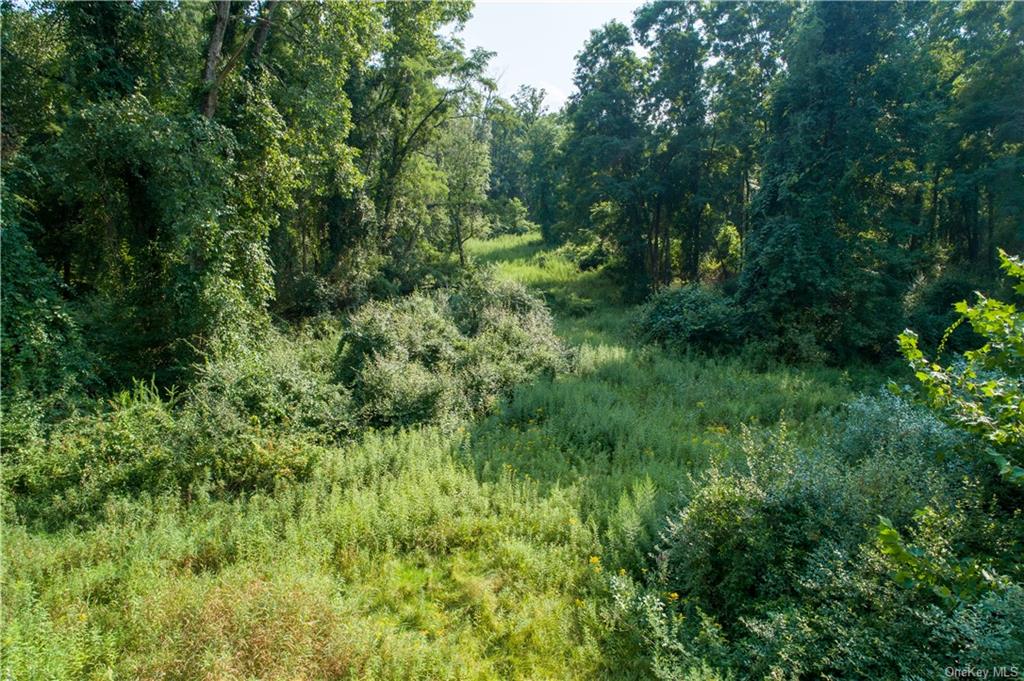 Land Ravine  Dutchess, NY 12564, MLS-H6072629-8