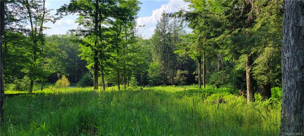 Land Woodard  Sullivan, NY 12768, MLS-H6258638-8