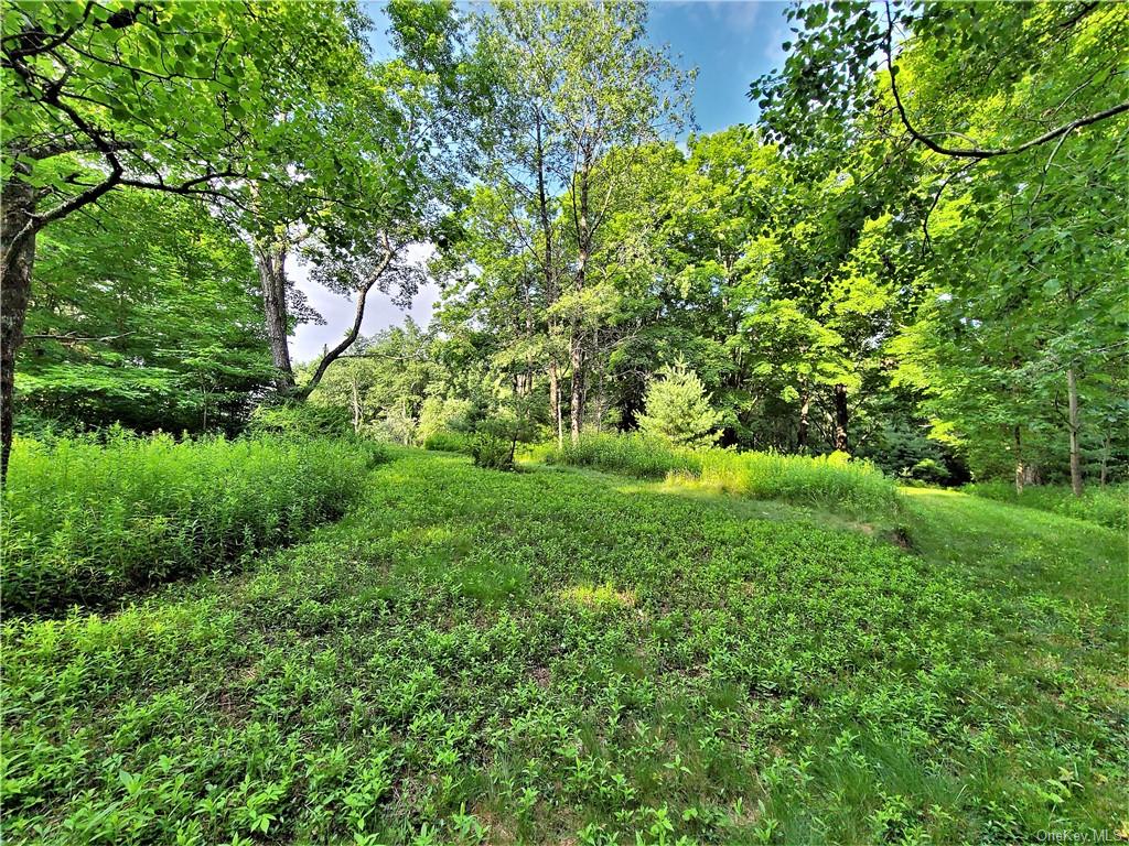 Land Mitchell  Sullivan, NY 12786, MLS-H6243649-8