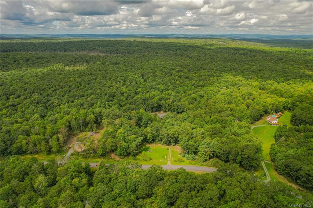 Land Renner  Sullivan, NY 12733, MLS-H6266666-8