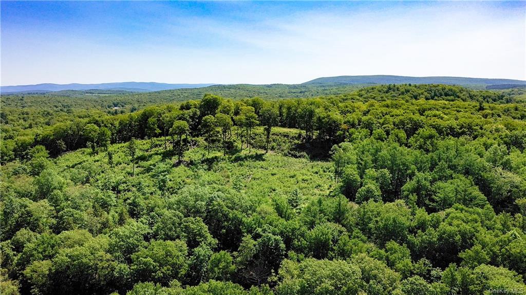 Land Academy Hill  Dutchess, NY 12571, MLS-H6251686-8