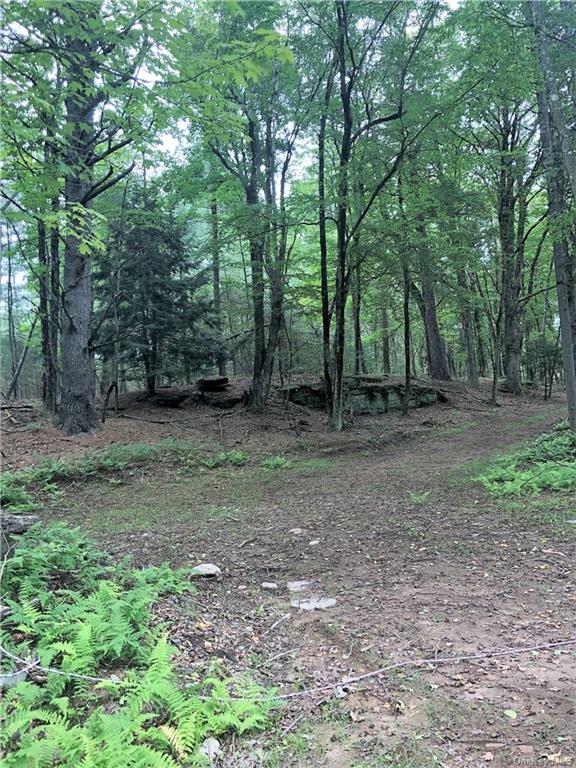 Land Old Tacy  Sullivan, NY 12720, MLS-H6261690-8