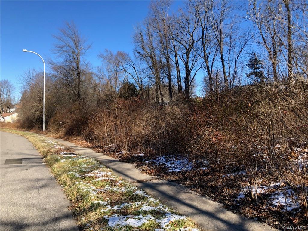Land Front  Westchester, NY 10598, MLS-H6276695-8