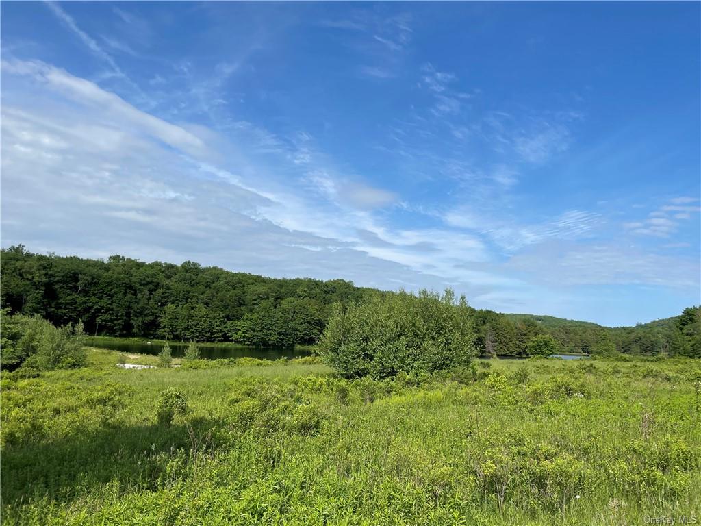 Land Tanzman  Sullivan, NY 12768, MLS-H6123698-8