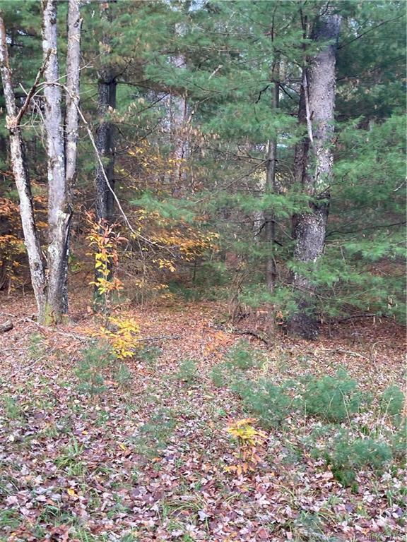 Land Plank  Sullivan, NY 12762, MLS-H6274706-8