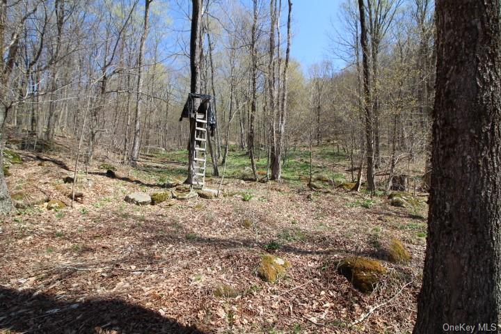 Land Cattail  Sullivan, NY 12758, MLS-H6244708-8