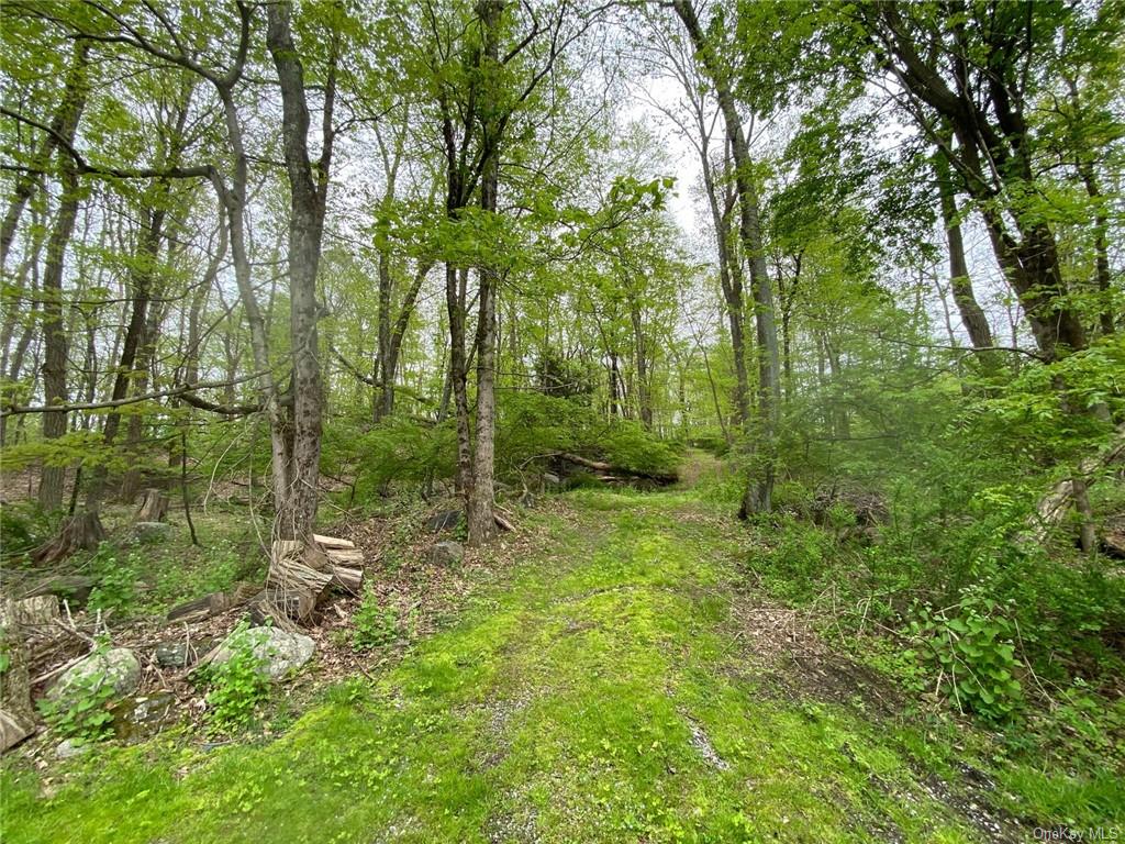 Land Spring Valley  Westchester, NY 10562, MLS-H6249717-8