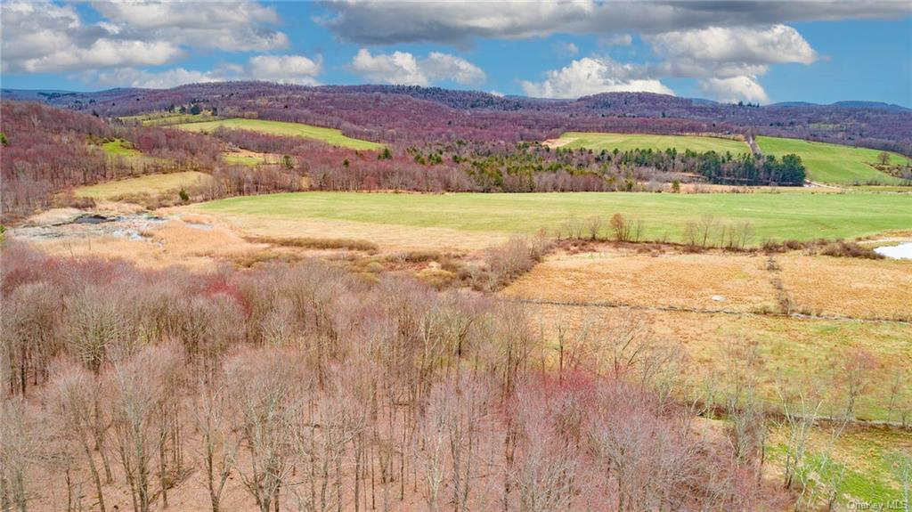 Land Peters  Sullivan, NY 12736, MLS-H6256722-8