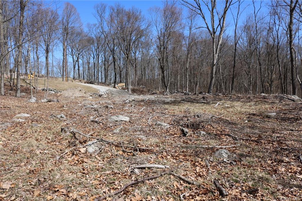 Land Lot 4 South Road  Dutchess, NY 12531, MLS-H6240725-8