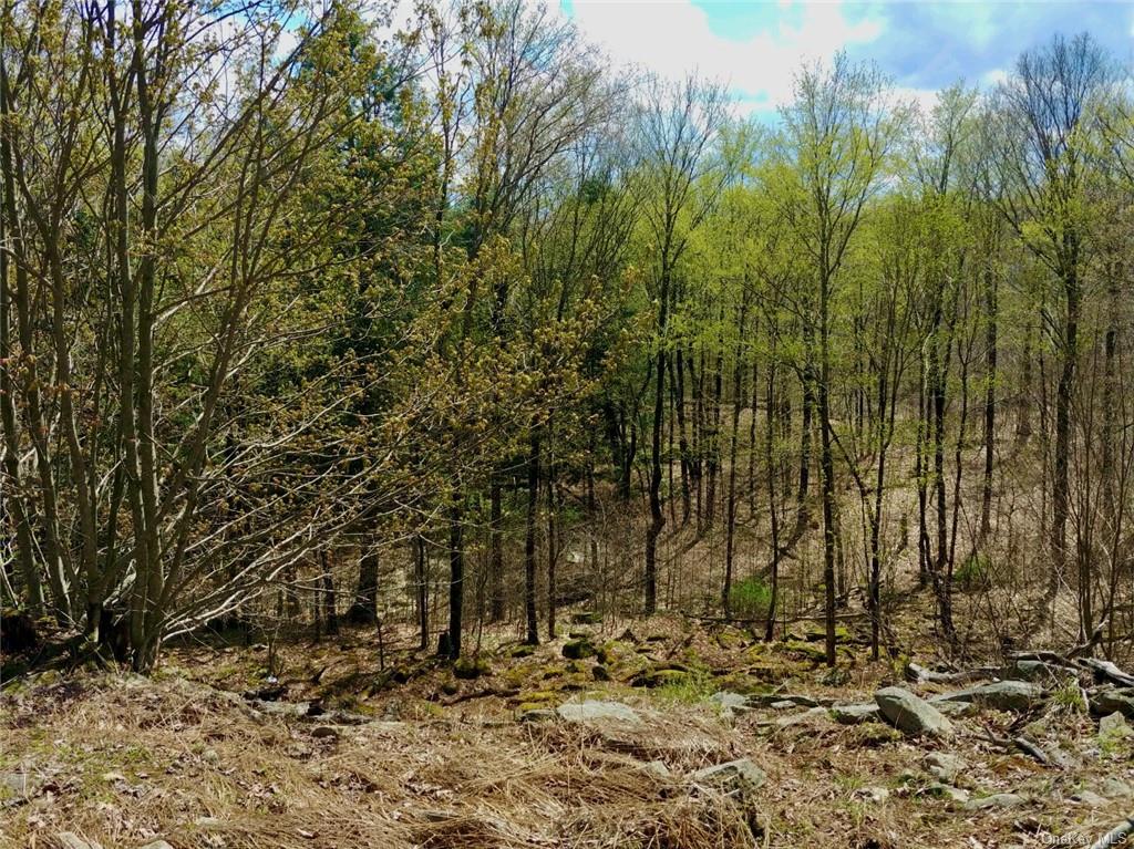 Land Shandelee  Sullivan, NY 12758, MLS-H6279768-8