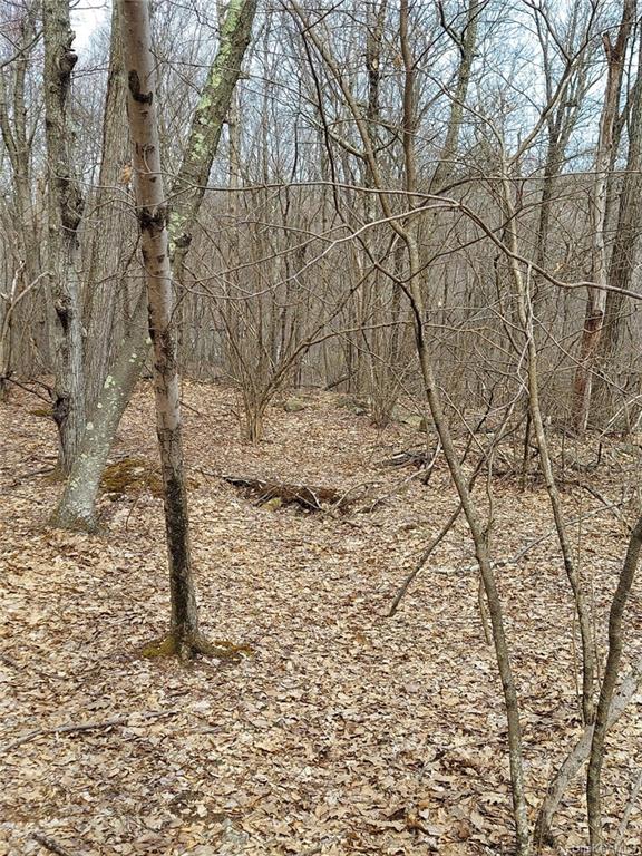 Land Grape Hollow  Dutchess, NY 12531, MLS-H6241803-8