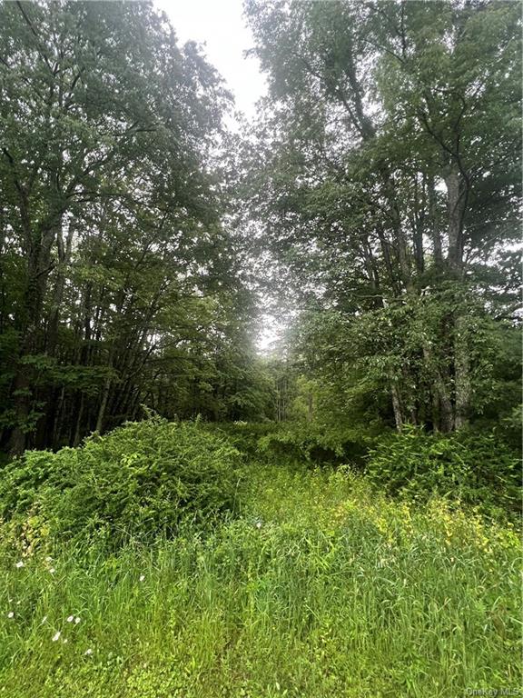 Land Big Hollow  Sullivan, NY 12765, MLS-H6256806-8