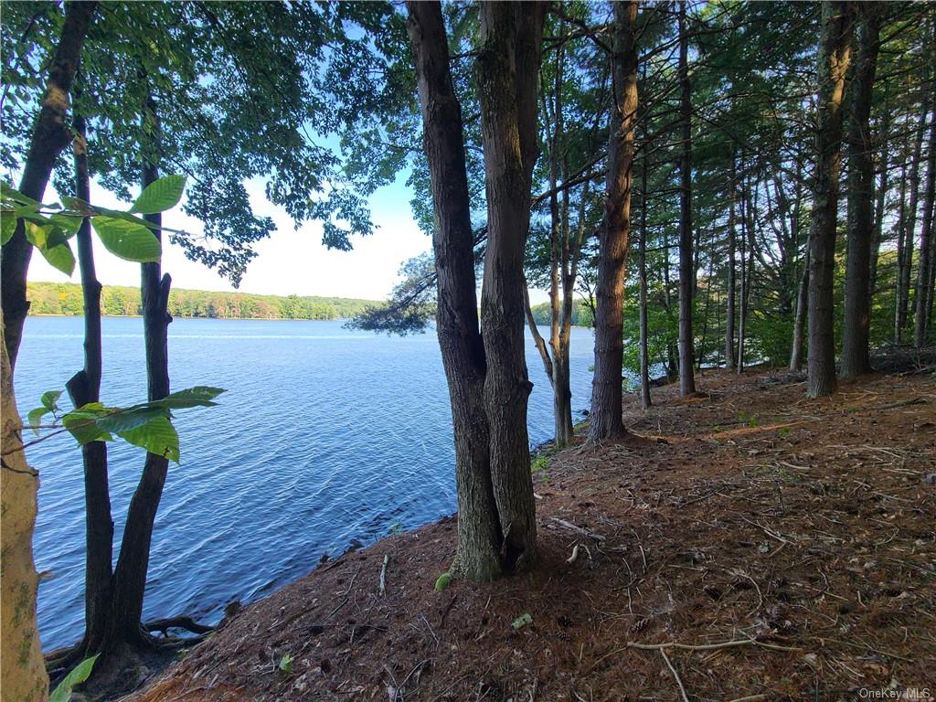 Land Woodstone  Sullivan, NY 12786, MLS-H6267818-8