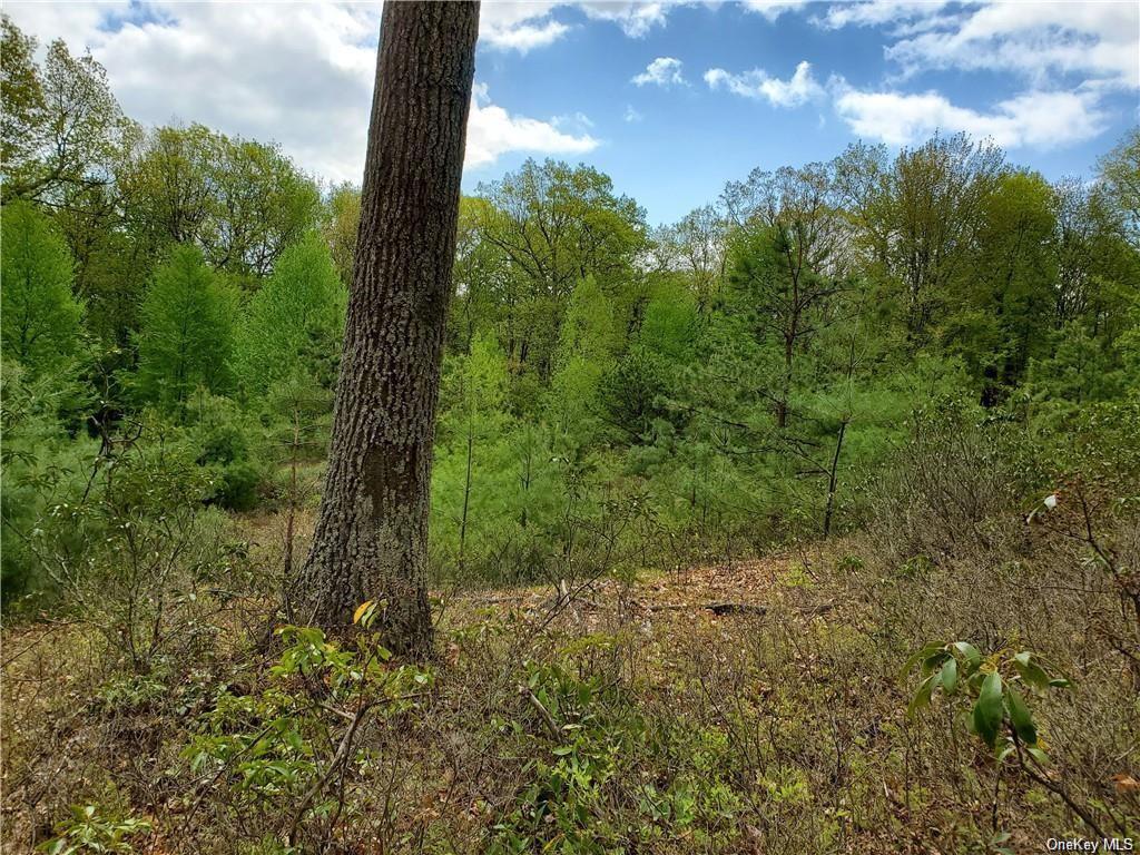 Land Mount Vernon  Sullivan, NY 12790, MLS-H6274851-8