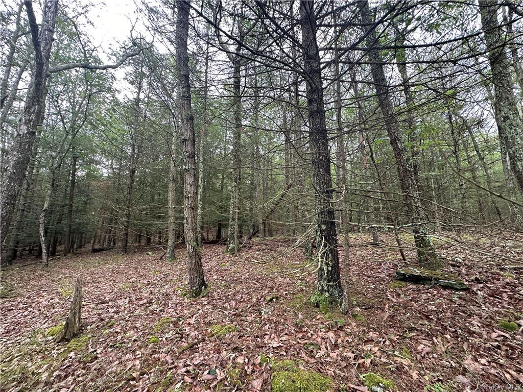 Land State Route 55  Sullivan, NY 12719, MLS-H6256862-8