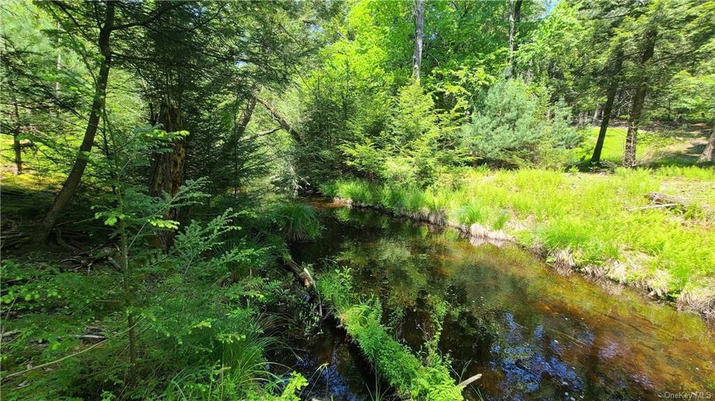 Land Dingle Daisy  Sullivan, NY 12701, MLS-H6204867-8