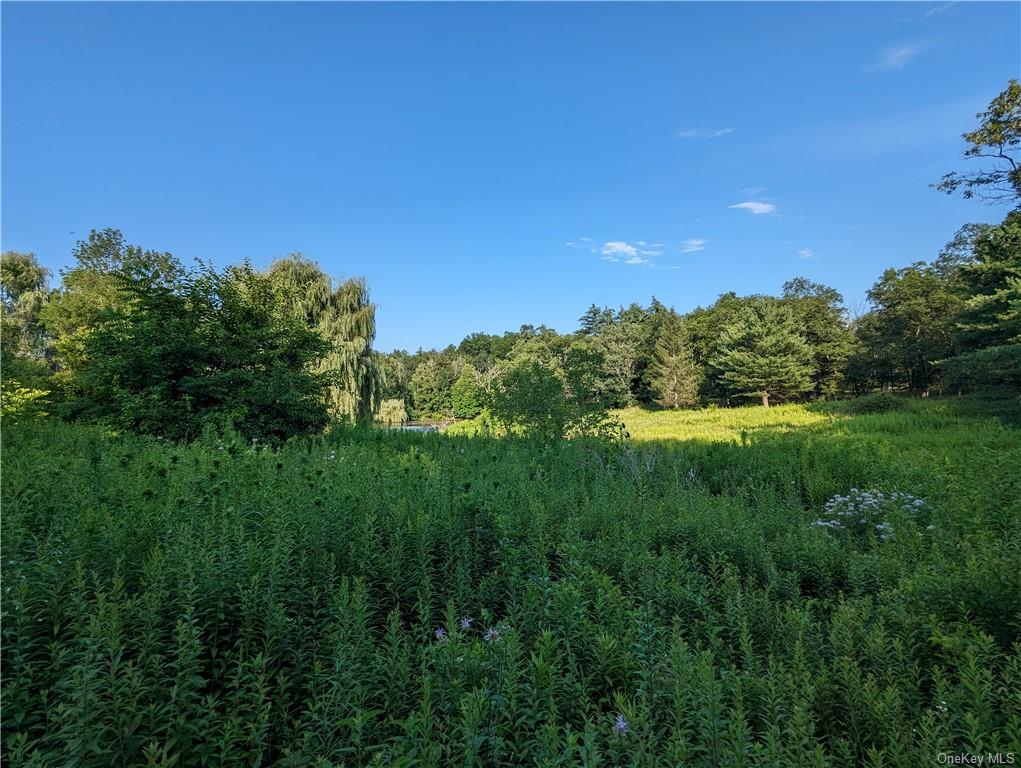 Land Berme  Ulster, NY 12446, MLS-H6262875-8