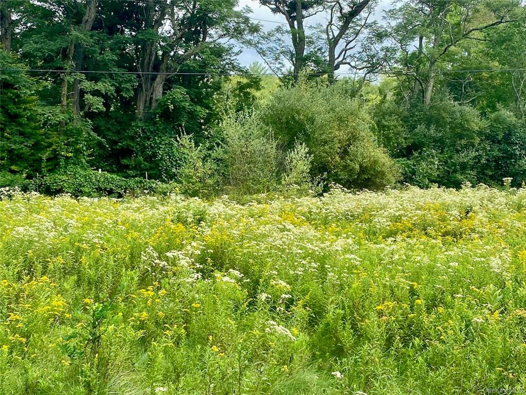 Land Moscoe  Sullivan, NY 12720, MLS-H6241893-8