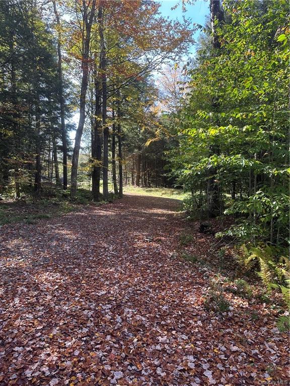 Land Eagles Ridge  Sullivan, NY 12768, MLS-H6271898-8