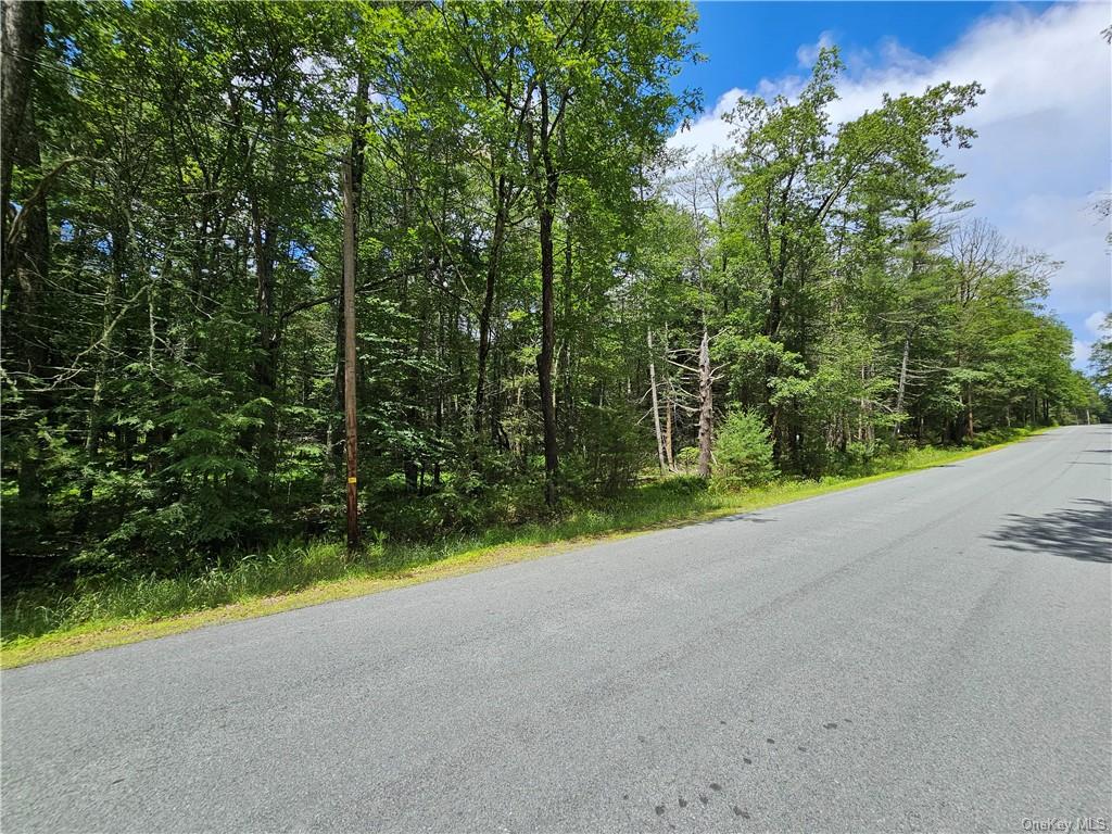 Land Barker/rowley  Sullivan, NY 12528, MLS-H6257962-8