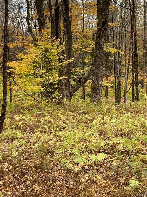 Land Big Woods  Sullivan, NY 12472, MLS-H6274967-8