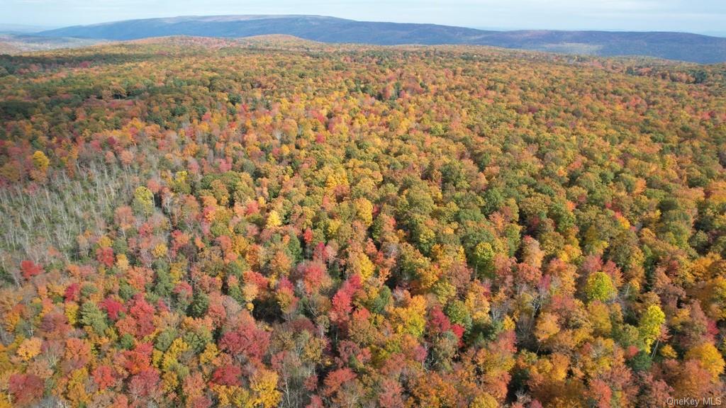 Land Mount Vernon  Sullivan, NY 12790, MLS-H6215980-8