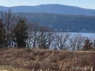 Land Mill  Dutchess, NY 12572, MLS-H6279982-8