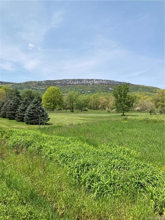 Land Mountain  Ulster, NY 12525, MLS-H6240983-8