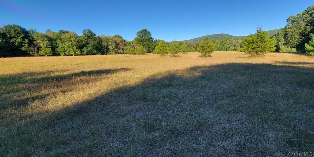 Land Meyerson  Sullivan, NY 12790, MLS-H6207993-8