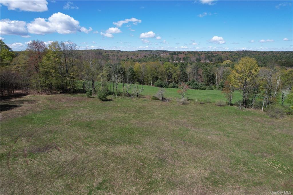 Land Royce  Sullivan, NY 12720, MLS-H6245995-8