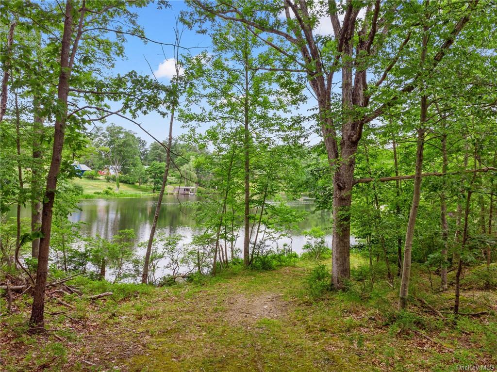 Land Gipsy Trail  Putnam, NY 10512, MLS-H6251011-9