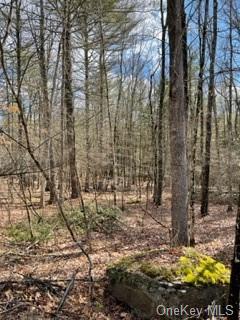 Land Bear Run  Sullivan, NY 12764, MLS-H6168030-9