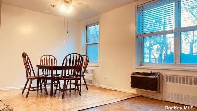 Coop Roosevelt  Queens, NY 11354, MLS-3519102-9