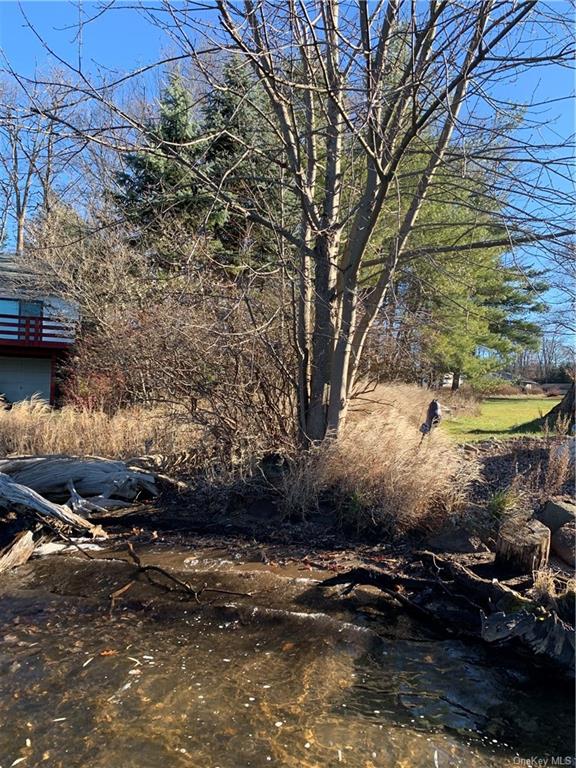 Land Lake Shore  Sullivan, NY 12775, MLS-H6222134-9