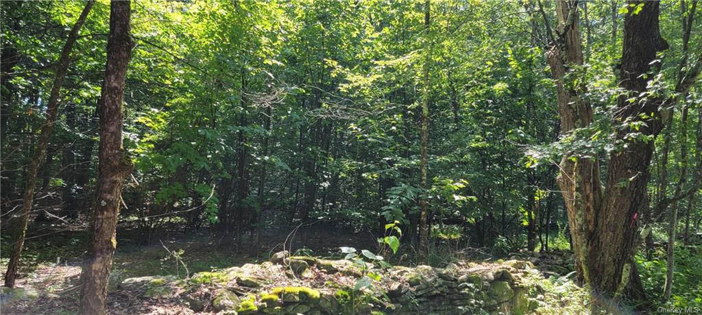 Land Westervelt  Sullivan, NY 12726, MLS-H6264186-9