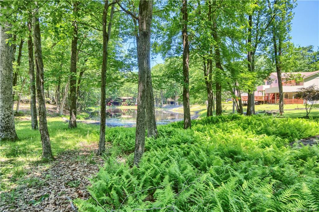 Land Pond  Sullivan, NY 12775, MLS-H6243190-9