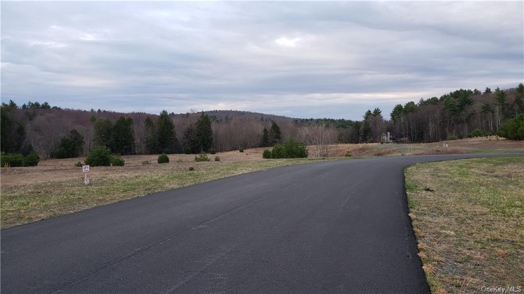 Land Marsh Road Tr 83  Sullivan, NY 12733, MLS-H6270193-9