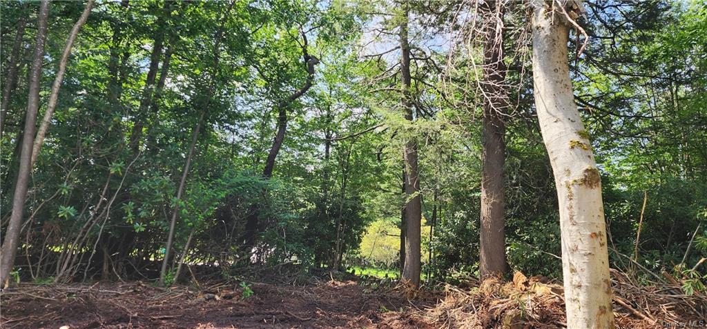 Land Lakeside  Sullivan, NY 12759, MLS-H6234206-9