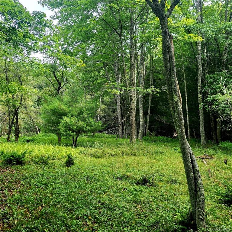 Land Schumway  Sullivan, NY 12765, MLS-H6262218-9