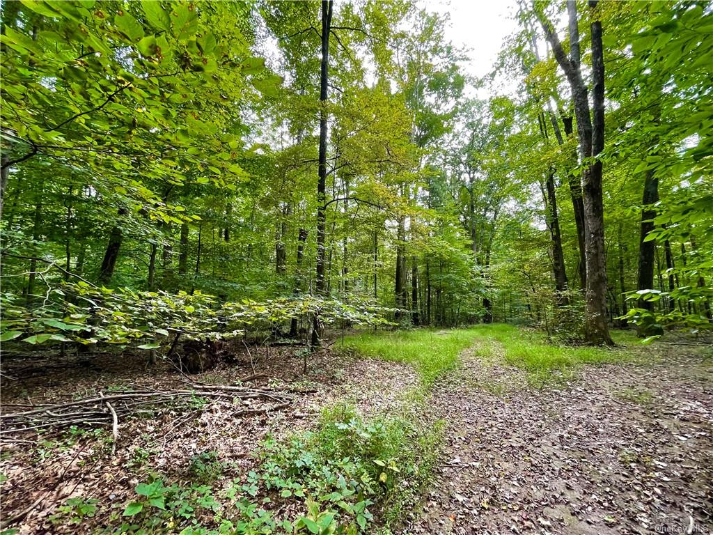 Land Ulsterville  Ulster, NY 12566, MLS-H6144266-9