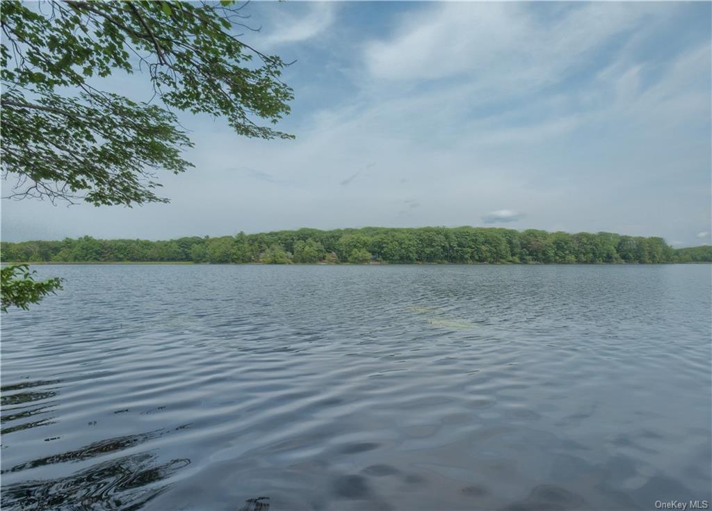 Land Shore  Sullivan, NY 12790, MLS-H6174271-9