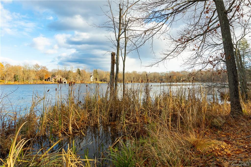 Land Lake  Dutchess, NY 12567, MLS-H6280278-9