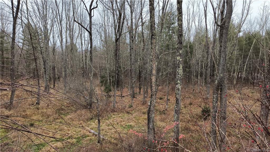 Land New Turnpike A  Sullivan, NY 12726, MLS-H6281364-9